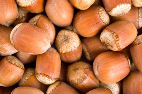 Background nuts Stock Photos
