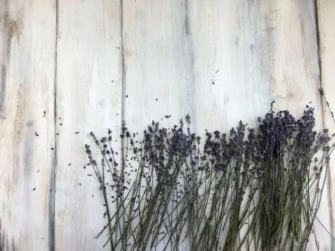 Background object Stock Photos