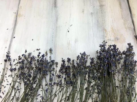 Background object Stock Photos