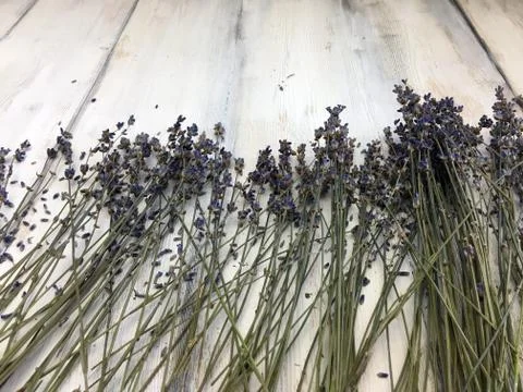 Background object Stock Photos