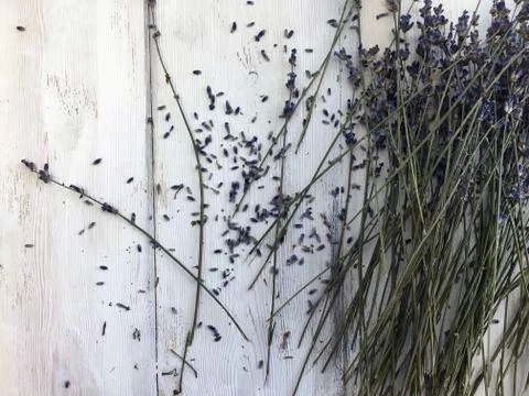 Background object Stock Photos