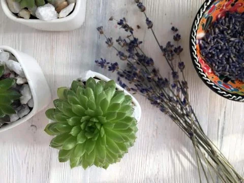 Background object Stock Photos