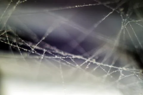 Background object Foto stock