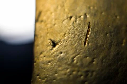 Background object Stock Photos