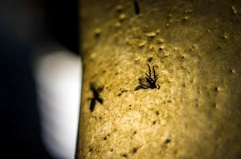 Background object Stock Photos