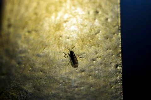 Background object Stock Photos