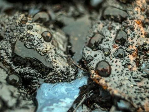 Background object Stock Photos