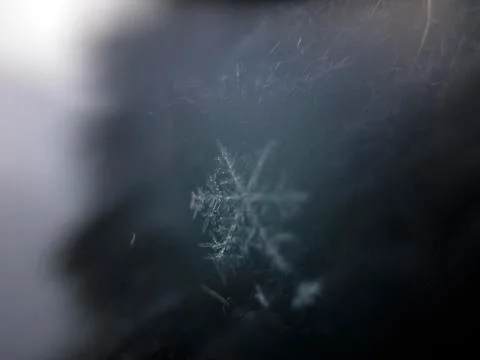 Background object Stock Photos