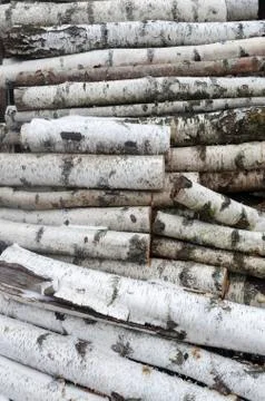 Background Of The Old Birch Logs Stock Photos