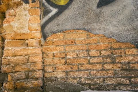 The background is an old brick wall Fotos Stock