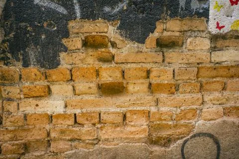 The background is an old brick wall Fotos Stock
