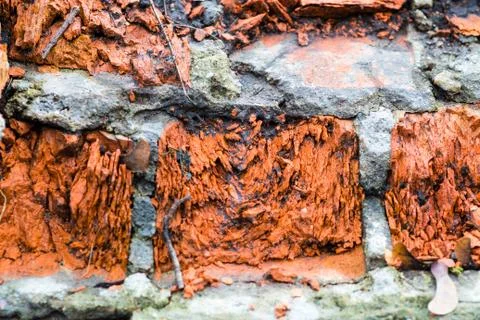 Background of old brick wall texture Stock Photos