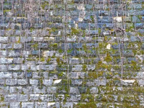 Background old brick wall texture. Vintage Stock Photos