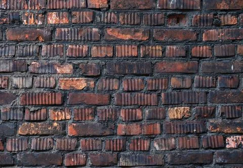 The background is an old brick wall. The wall is made of red ceramic bricks. Stock Photos