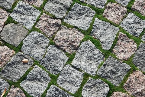 Background of old cobblestone with moss between rocks and dried leaves Stock Photos