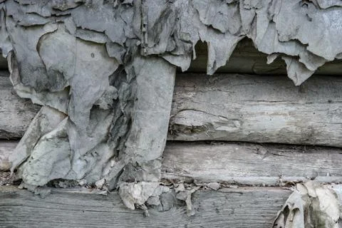 Background from old gray logs. Stock-Fotos