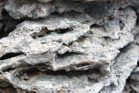 Background of old limestone Stock Photos