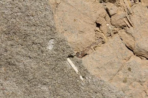 Background from the old mud wall Stock Photos