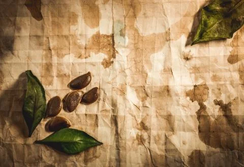 Background with old paper Illustrazione stock