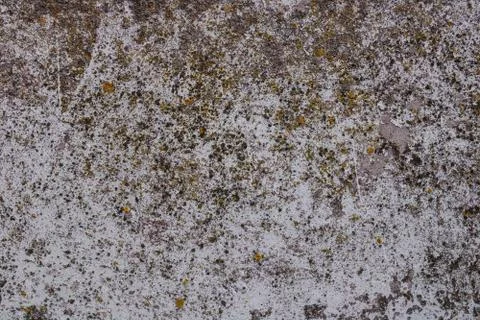 Background of old peeling paint Foto stock