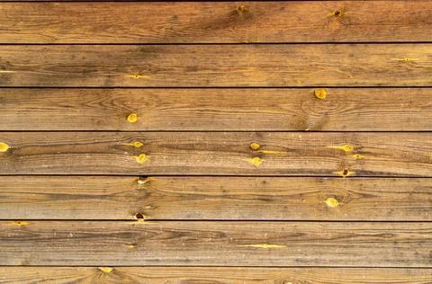 Background of old pine boards with knots. Brown with yellow. Stock Photos