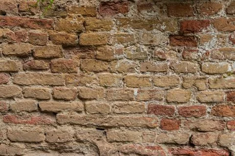 Background of the old red brick wall 写真素材