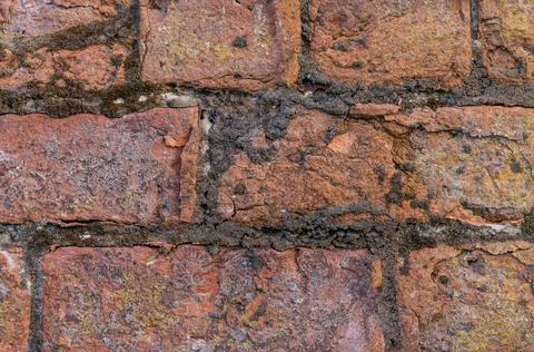 Background of old red bricks inset in a wall with lichen Fotos Stock