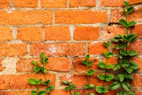 Background of old stone wall Stock Photos
