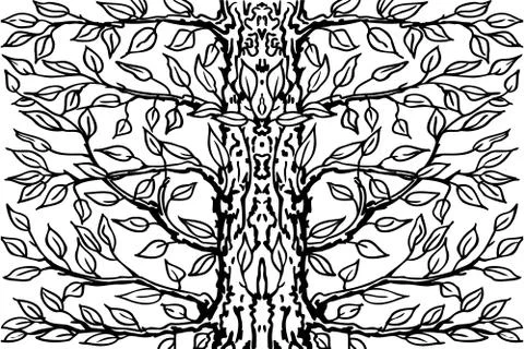 Background from old tree. Black tree white background . Vector illustration. Stock Illustration