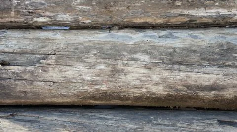 The background is an old wall of logs, darkened timber. Stock Photos