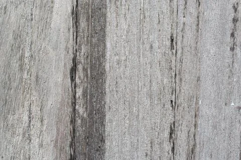 The background is the old wood. Stock Photos