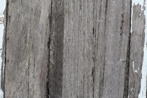 The background is the old wood. Stock Photos