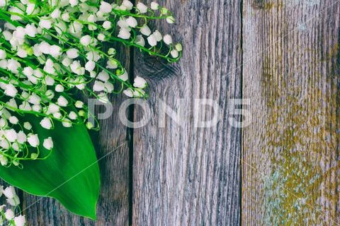 Background of the old wooden barn boards with forest flowers, lilies valley Stock Photos
