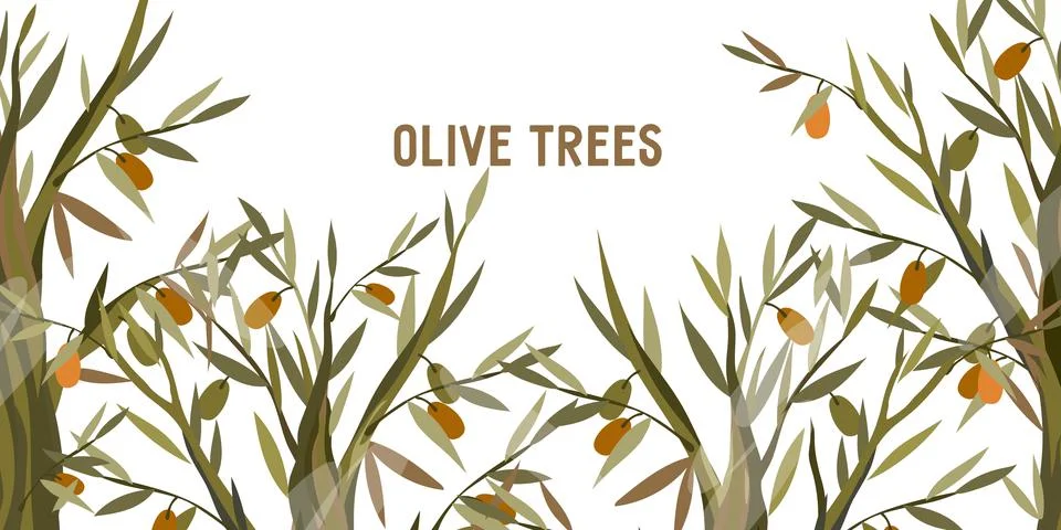 Background with olive trees flat vector illustration. Illustrazione stock