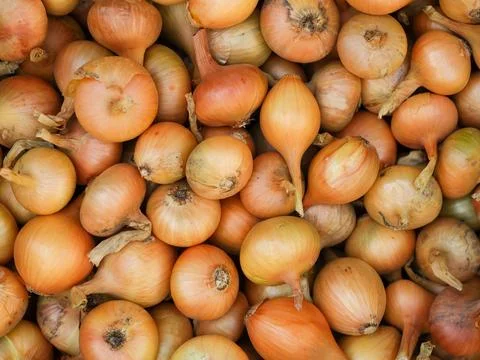 A background of onions Stock Photos