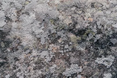 Background or texture of mountain stone. Rock Stock Photos