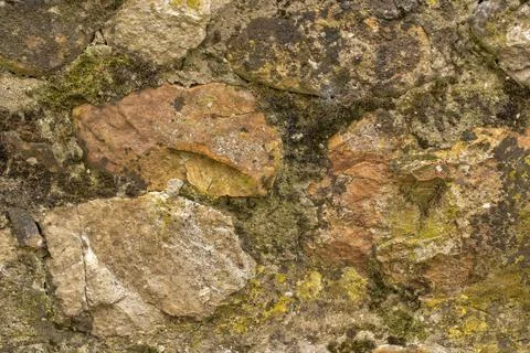 Background or texture of old wall with moss Stock Photos
