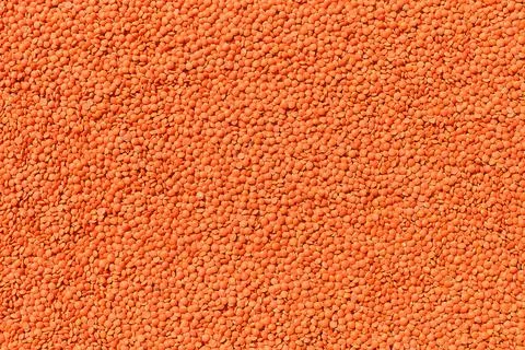 Background or texture of red lentils, vegetable protein, top view. 스톡 사진