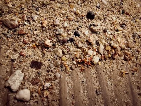 Background or texture of tiny pebbles 写真素材