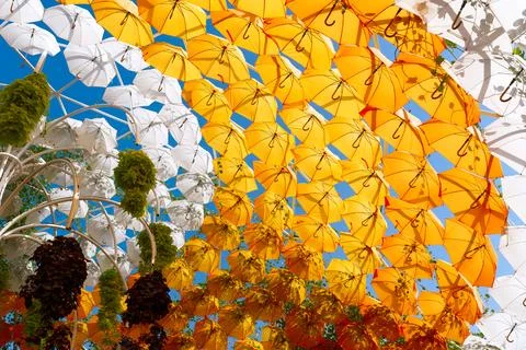 Background of orange and white umbrellas under a sunny sky. Stock Photos