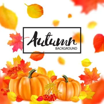 Background of orange autumn pumpkins. Vector Stock Illustration