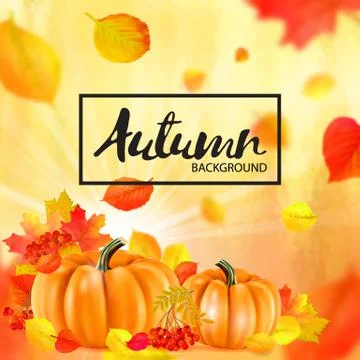 Background of orange autumn pumpkins. Vector Stock Illustration