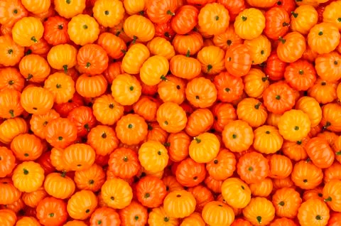 Background from orange pumpkins, 3D rendering Illustrazione stock