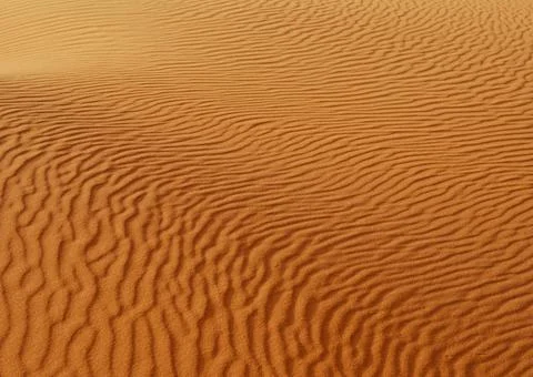Background of orange sand wave in Sakhara desert landscape Stock Photos