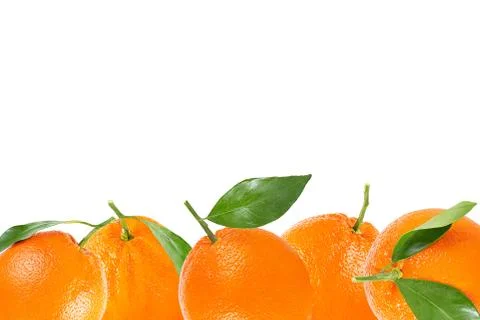 Background oranges with leaf isolated on white Stock Photos