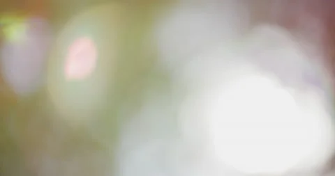 Background out of focus with lens flair in Griffith Park, Los Angeles. Stock Footage 151192700