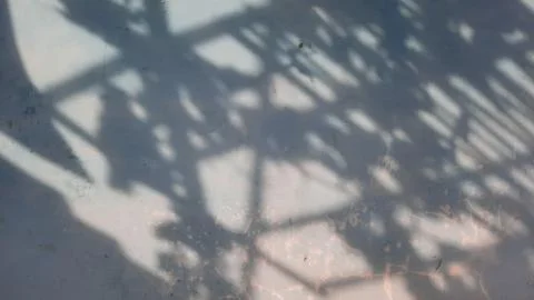 Background overlay with leaf shadow ornaments on a blue wall Stock Photos