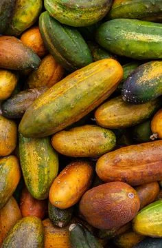 Background of overripe old cucumbers of different colors Stock Photos