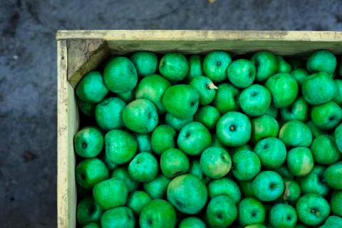 Background packaged in boxes of green apples for sale on the local market Stock Photos