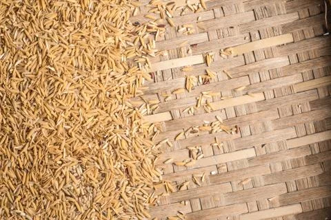 Background of paddy. Stock Photos